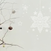 Weihnachtssterne Plotterdatei SVG DXF 